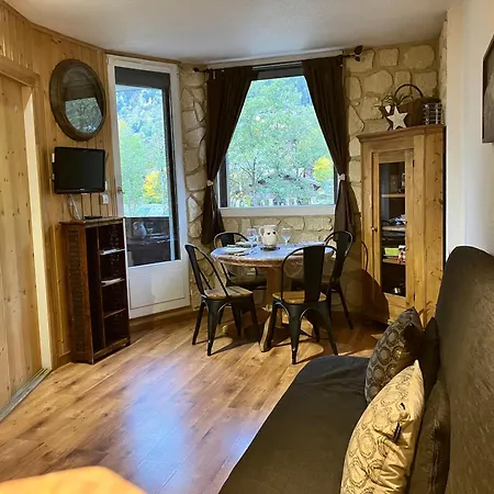 Appartement Centre Le Grepon